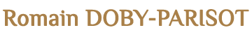 Romain Doby-Parisot Thérapeute énergétique soins énergétiques Les Sables d'Olonne logo